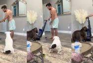 Devoted Dog Dad Lectures The Vacuum Cleaner About Upsetting His Precious Pups
