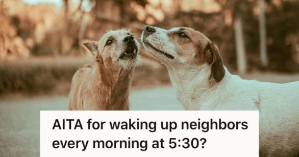 Source: Pexels/Reddit