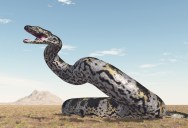 This Prehistoric Snake Could Be The Largest To Ever Live On Earth At 49 Feet in Length