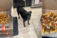 Massive Pizza Order Left Her With A Feast Fit For Royalty, But Now She’s Complaining It’s Too Much