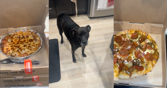 Source: TikTok/@brooke_wadeee