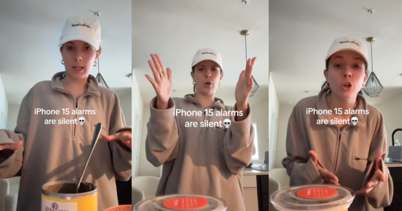 Source: TikTok/@elizabethannswenson