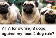 HOA Rules Say Only Two Dogs Per Household, But This Person Has Three. So A Nosy Neighbor Tries To Get Them In Trouble… But Fails.