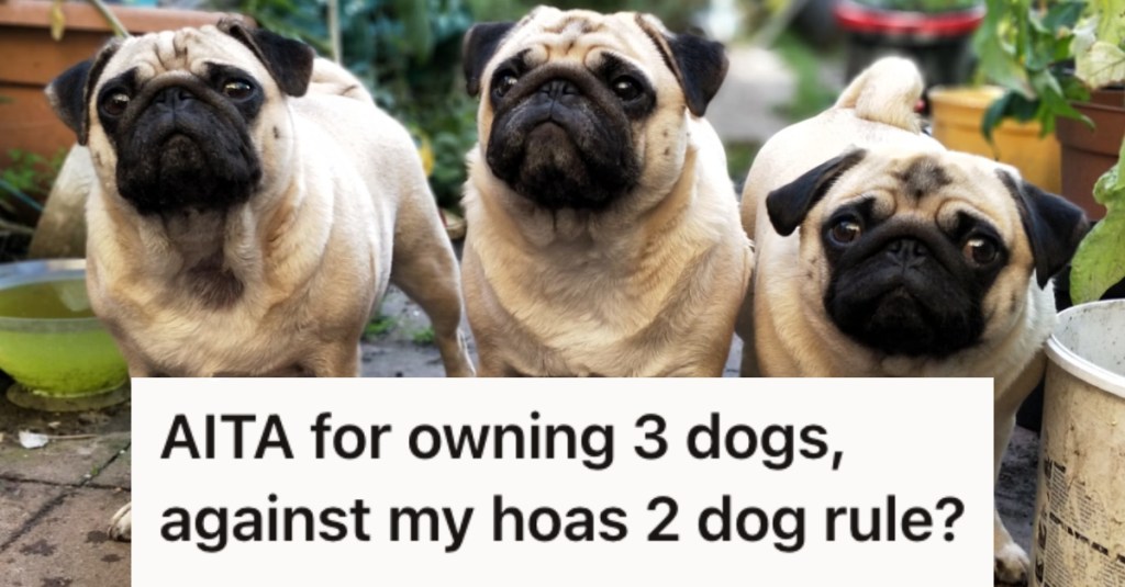 HOA Rules Say Only Two Dogs Per Household, But This Person Has Three. So A Nosy Neighbor Tries To Get Them In Trouble... But Fails.