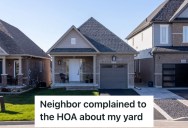 Nosy Neighbor Complained To The HOA About Their Lawn, So They Made Sure Her Lawn Looked Horrible So They Could Make Their Own Complaint