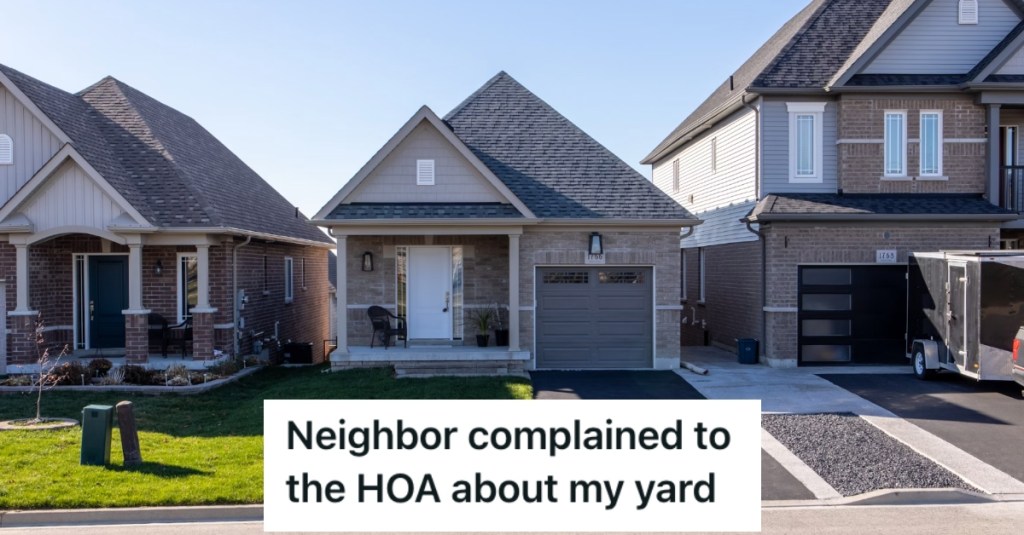 Nosy Neighbor Complained To The HOA About Their Lawn, So They Made Sure Her Lawn Looked Horrible So They Could Make Their Own Complaint