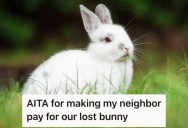 A Neighbor’s Young Child Let Their Rabbit Out Of Its Enclosure, So Now She Wants Them To Pay For A New One. Her Hubby Doesn’t Think That’s A Good Idea.