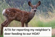 Their Neighbor Wouldn’t Stop Feeding Deer, Which Did Tons Of Damage To Their Property. So They Decided To Report Them To Their HOA.