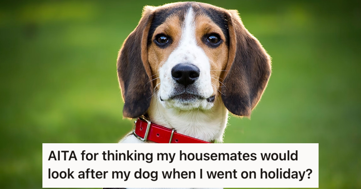 Their Roommates Agreed To Watch Their Dog While They Were Away On Vacation, But Now They've Gone Back On The Deal