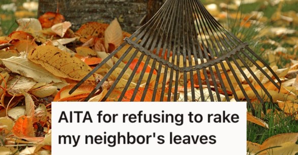 Source: Reddit/Pixabay