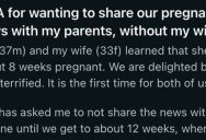 He Wants To Tell His Parents About His Upcoming Child Without His Wife Present, And She’s Understandably Upset About It