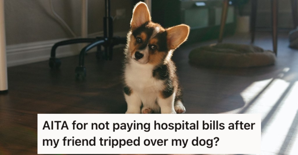 A Friend Tripped Over Their Dog And Now Needs to Get Surgery, But They Said They’re Not Paying Their Hospital Bills
