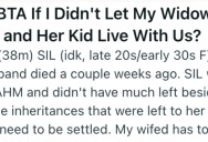 Wife Wants Her Recently-Widowed Sister And Her Kid to Move In With Them, But Hubby Pushes Back Because It’s Happening Too Fast