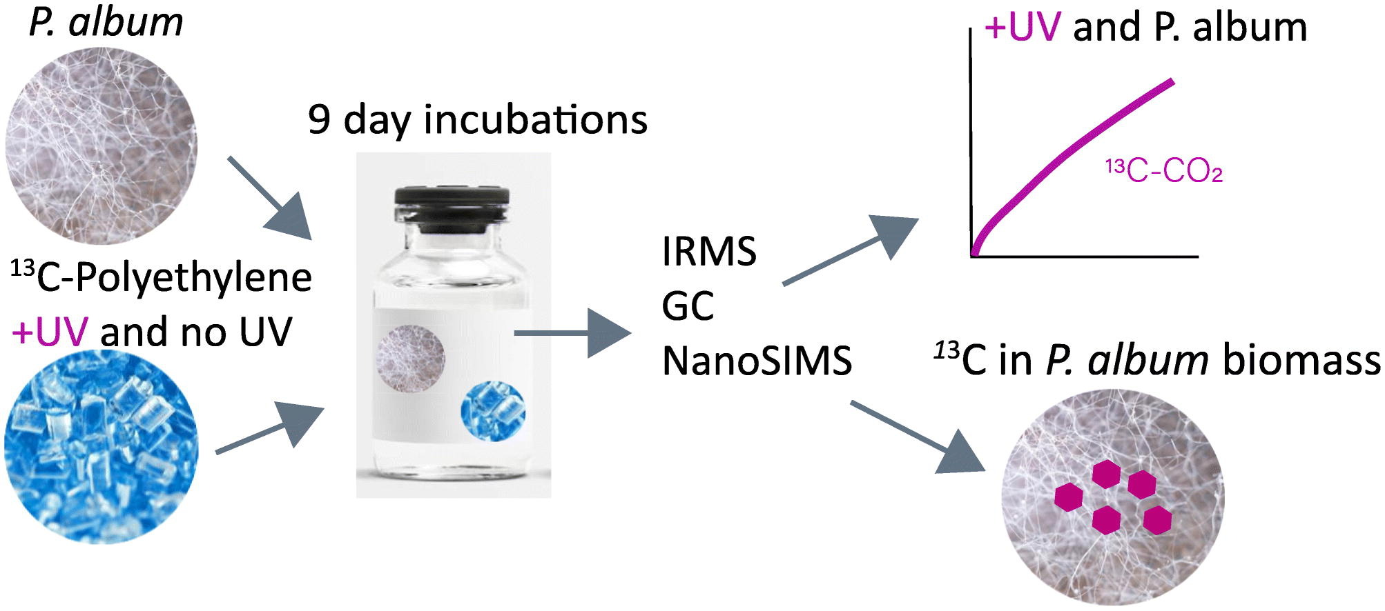 Source: A. Vaksmaa, et al