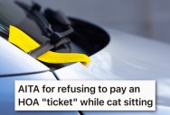 Her Friend’s HOA Issued Her A “Ticket” While She Was Cat Sitting. She Doesn’t Want To Pay It, But Her Friend Says Somebody Has To.