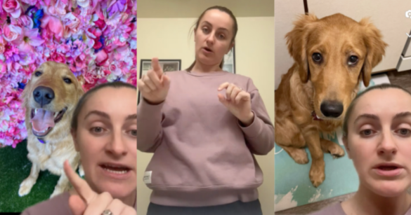 Source: TikTok/@stuttebooty