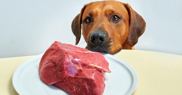 Source: Shutterstock