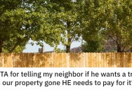 Neighbor Is Furious About Couple’s Tree And Demands They Remove It. So They Agree Under One Condition… She Has To Pay For It