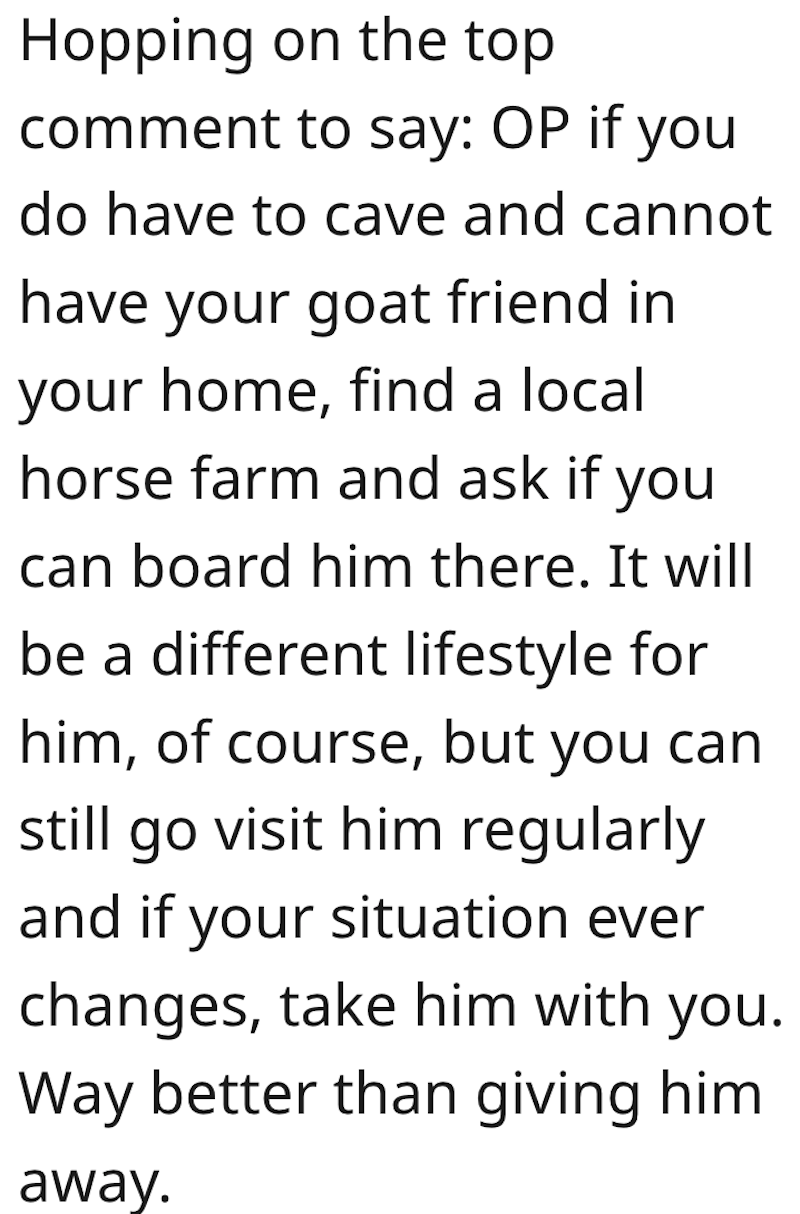 Goat Comment 1 Man Gets Around His HOAs Rules By Disguising His Pet Goat As A Dog, But When His Neighbor Exposes His Secret, The HOA Wants The Goat Out