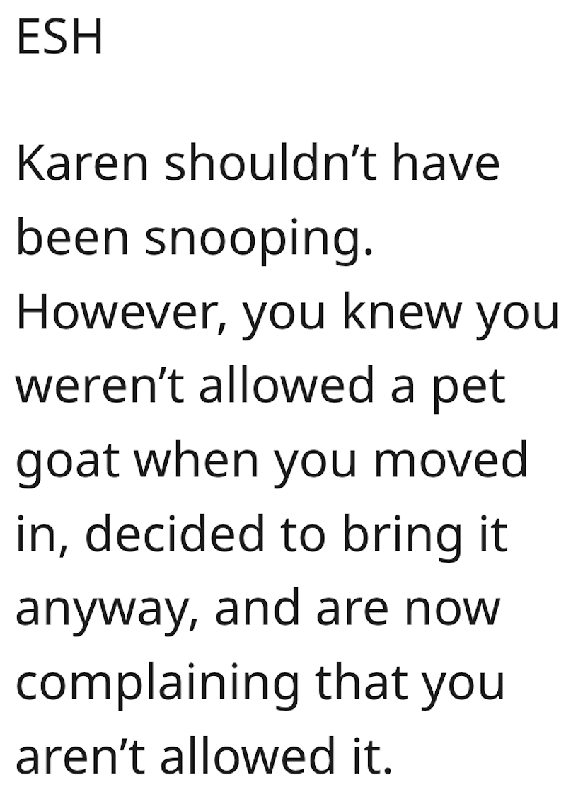 Goat Comment 2 Man Gets Around His HOAs Rules By Disguising His Pet Goat As A Dog, But When His Neighbor Exposes His Secret, The HOA Wants The Goat Out