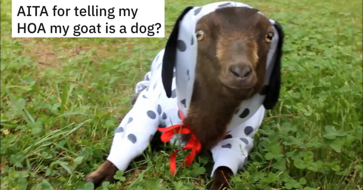 Goat Thumb Man Gets Around His HOAs Rules By Disguising His Pet Goat As A Dog, But When His Neighbor Exposes His Secret, The HOA Wants The Goat Out