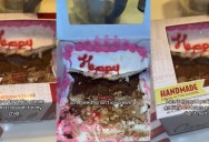 ‘Oh my God, what is that?’ – Her Carvel Ice Cream Cake Hasn’t Melted After A Day In The Trash And Now Everybody Is Wondering Why