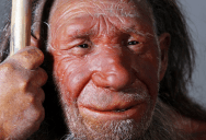 New Analysis Suggests Neanderthals Lacked The Ability To Use Metaphors And Other Abstract Communication Methods