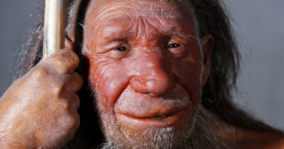 Source: Rosarubicondior