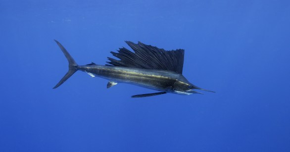 Source: Shutterstock