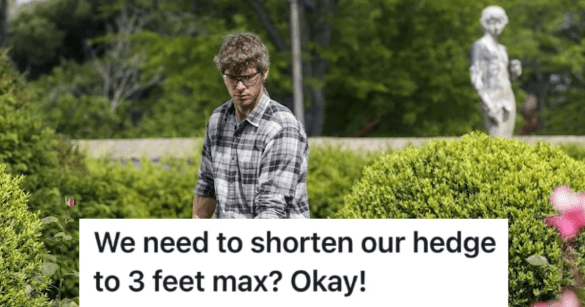 Source: Reddit/MaliciousCompliance/Pixabay/Pexels