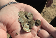 Lucky Woman Happened Upon A Huge, Priceless, 900-Year-Old Treasure Trove Of 2,150 Silver Coins