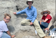 Three North Dakota Kids Found A “Teenager” T-Rex Fossil While Hiking