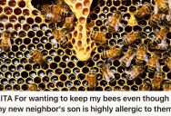 His New Neighbor’s Kid Is Allergic To Bees, But He Won’t Remove His Bee Hives Because That’s Not His Responsibility