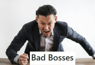 Bad Bosses Consistently Treated An Employee Terribly, So They Followed The Rules And Made Their Jobs Harder