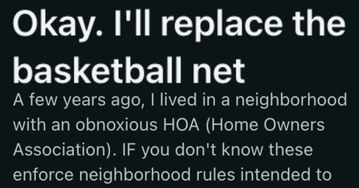 The HOA Insisted They Put A Net On Their Basketball Hoop, But They Didn’t Specify What Kind of Net