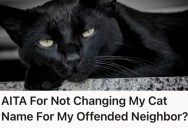 Woman’s Neighbor Wants Her To Change Her Cat’s Name Because She Thinks It’s Offensive. She Refuses To Do It.