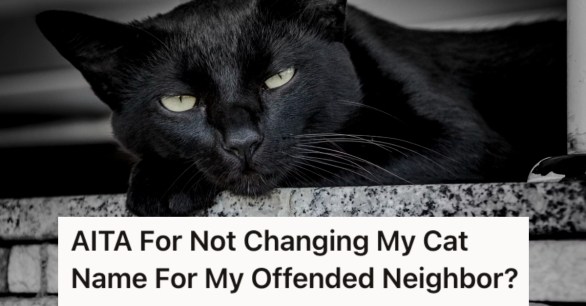 Source: Reddit/Unsplash/@_visalliart