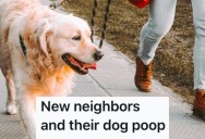 Disugsting Neighbors Wouldn’t Pick Up After Their Dog, So They Decided To Throw All The Dog Poop On Their Roof To Teach Them A Smelly Lesson