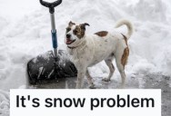 Rude Workers From A Business Smoke Near This Woman’s House, So She Decided To Shovel Dog Poop Into Their Parking Lot