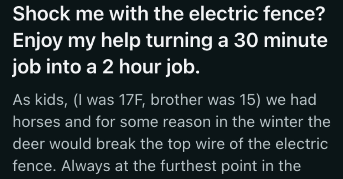 Read more about the article She didn’t find it funny when her brother kept calling her on the phone while she was fixing an electric fence, so she responded by “helping” him fix the car he was fixing » TwistedSifter