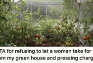 His New Neighbors Were Stealing Vegetables From His Greenhouse, So He Got Satisfying Legal Revenge