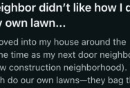 Their Neighbor Didn’t Like the Way They Cut Their Lawn. So, They Let It Grow Long For Months Just To Prove A Point