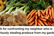 Vegetables Kept Getting Stolen Out Of Their Garden, So They Accused Their Neighbor Without Any Proof