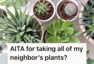 Her Neighbor Gave Her All Her Plants During A Manic Episode, But Now That She’s Better… She Refuses To Give Them Back