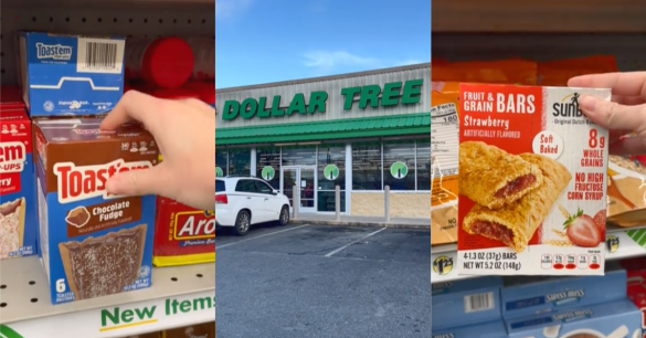 Source: TikTok/@dollartreedinners