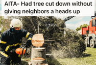 There Tree That Had Been Struck By Lightning Multiple Times So They Had To Cut It Down, But It Messed With The Neighbor’s Hammock And They’re Angry