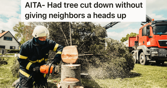 Source: Reddit/AITA/Pexels/Helena Jankovičová Kováčová