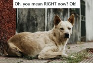 Annoying Mormon Neighbor Wanted Him To Clean His Dog’s Mess Right Away, So He Followed Orders And Did His Duty In His Underwear