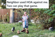 Nosy Neighbor Reported Him To The HOA For Having Chickens, So He Scoured Their Property For Violations And Got Revenge