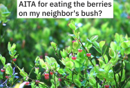 Homeowners Were Eating Berries From Their Neighbors Bush That Fell In Their Yard, So The Neighbor Called The HOA And Reported Them